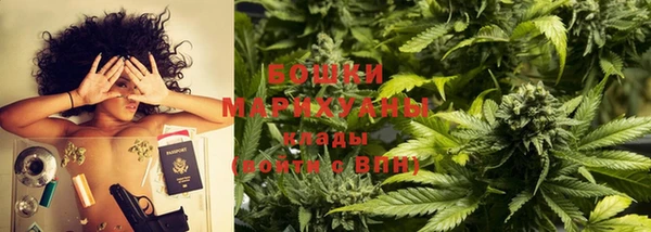 дживик Осташков