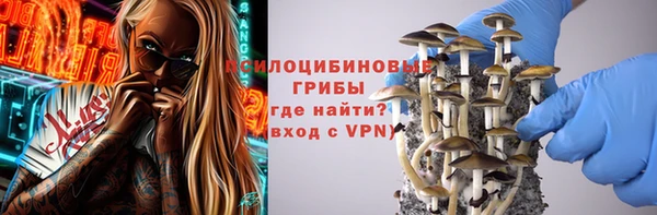 герыч Пестово