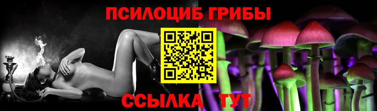 купить наркотики цена  Псилоцибиновые грибы Magic Shrooms  Курск  Галлюциногенные грибы Psilocybine cubensis 