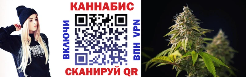 Бошки Шишки гибрид  Курск 